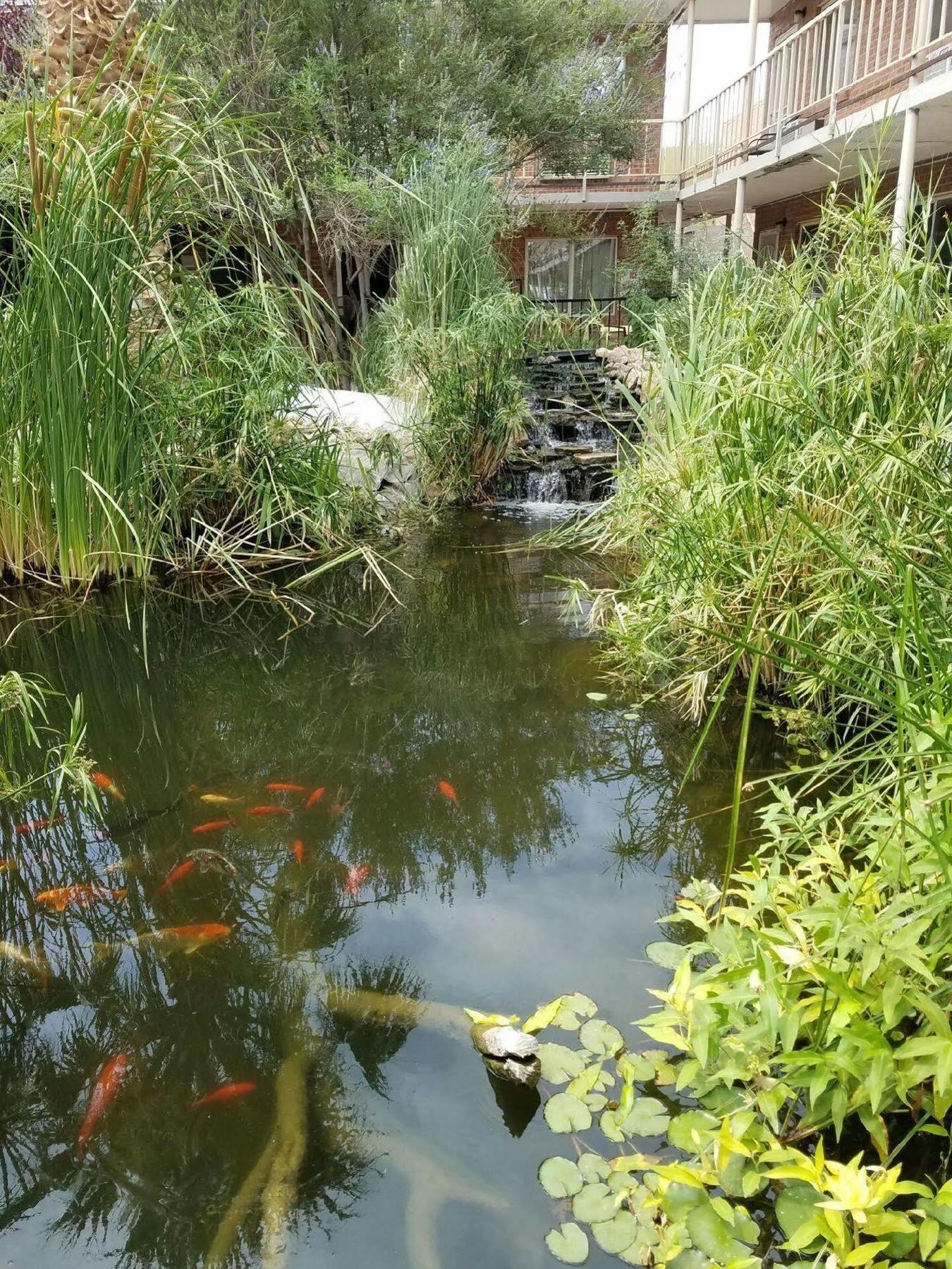 Big Chile Inn & Suites Лас-Крусес Экстерьер фото